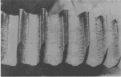 �X��ēp���E��