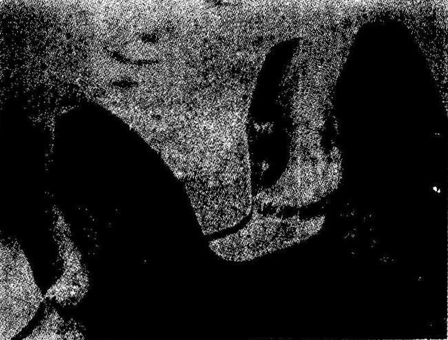 �^(gu��)��ĥ�p