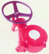 XJϵ���y�T(m��n)�p�������g(sh��)����(sh��)